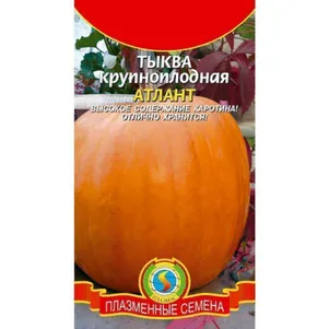 Тыква Атлант 1 г, Плазменные семена