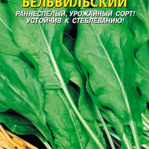 Щавель Бельвильский 05 г Плазменные семена 29₽