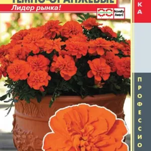 

Бархатцы отклоненные (серия Бонанза) Бонанза Темно-оранжевые 10шт Плазменные семена