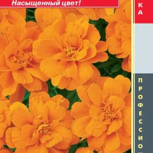 

Бархатцы Дюранго Мандарин отклоненные 10шт, Плазменные семена