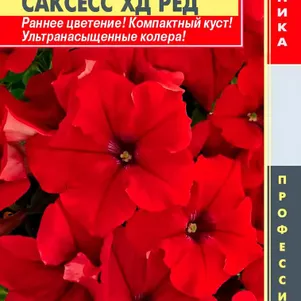 Петуния Ред крупноцветковая F1 (серия Success! HD) 10 шт, Плазменные семена