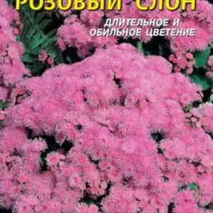 Агератум Розовый слон 0,05 г, Плазменные семена