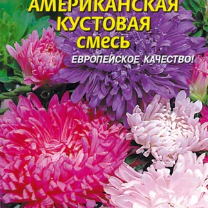 Астра Американская кустовая 0,3 г, Плазменные семена