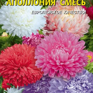 Астра Апполония смесь 0,2 г, Плазменные семена