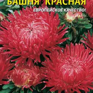 Астра Башня Красная 0,3 г, Плазменные семена