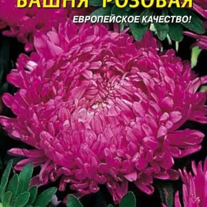 Астра Башня Розовая 0,3 г, Плазменные семена