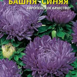 Астра Башня Синяя 0,3 г, Плазменные семена