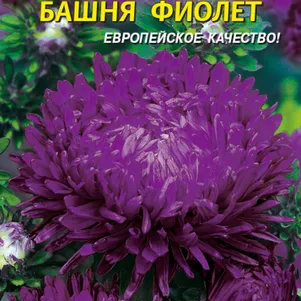 

Астра Башня Фиолет 0,3 г, Плазменные семена