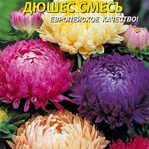 Астра Дюшес Смесь 0,3 г, Плазменные семена