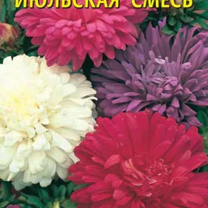 Астра Июльская смесь 0,3 г, Плазменные семена