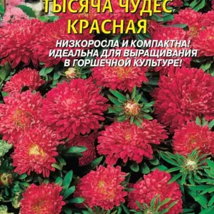 Астра Тысяча чудес красная карликовая 0,2г, Плазменные семена
