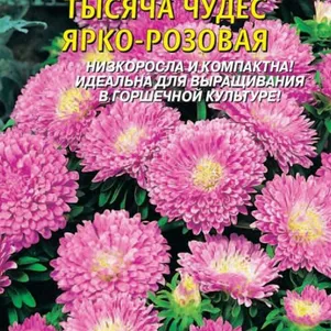 Астра Тысяча чудес ярко-розовая карликовая 0,2г, Плазменные семена