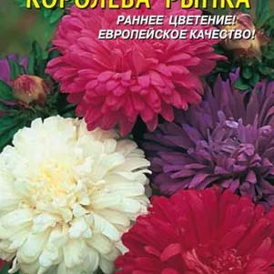 Астра Королева рынка 0,3 г, Плазменные семена