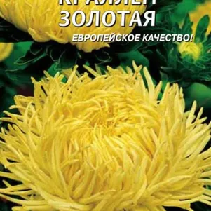 Астра Золотая Краллен 0,3 г, Плазменные семена