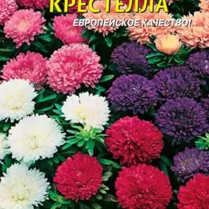 Астра Крестелла 0,2 г, Плазменные семена