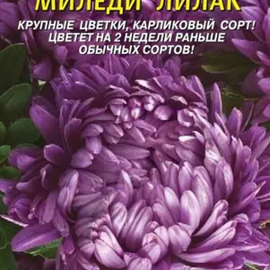 Астра Миледи Лилак 0,2 г, Плазменные семена