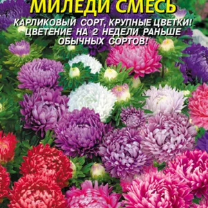 Астра Миледи смесь 0,1 г, Плазменные семена