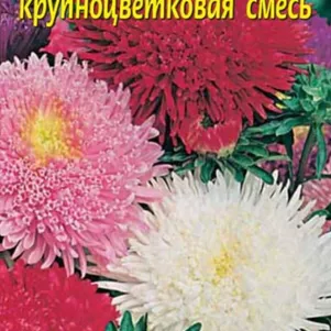 Астра Принова крупноцветковая смесь 0,2 г, Плазменные семена