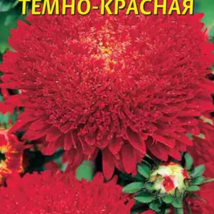 

Астра Принова темно-красная 0,3 г, Плазменные семена