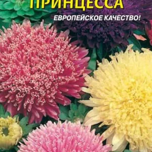 Астра Принцесса смесь 0,2 г, Плазменные семена