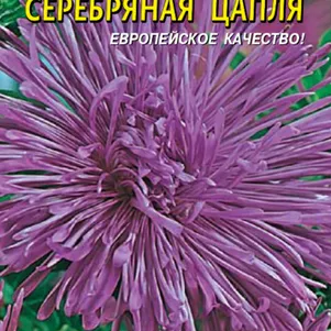 Астра Серебряная цапля 0,3 г, Плазменные семена