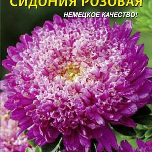 Астра Сидония Розовая 0,2 г, Плазменные семена