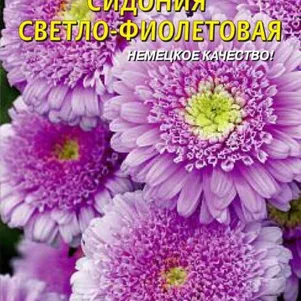 

Астра Сидония Светло-фиолетовая 0,2 г, Плазменные семена
