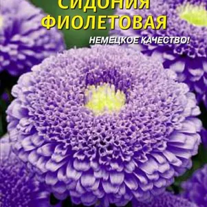 

Астра Сидония Фиолетовая 0,2 г, Плазменные семена