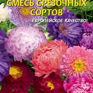 Астра Смесь срезочных сортов 0,3 г, Плазменные семена