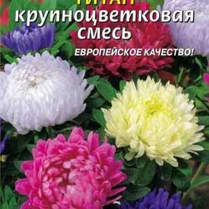 Астра Титан 0,3 г, Плазменные семена