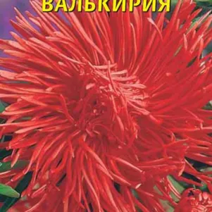 Астра Харц Валькирия 0,3 г, Плазменные семена