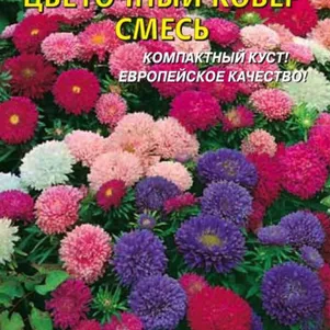 Астра Цветочный ковер смесь 0,2 г, Плазменные семена