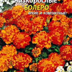 Бархатцы Болеро низкорослые 45 шт, Плазменные семена