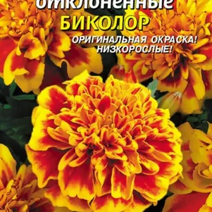 Бархатцы Биколор отклоненные 45 шт, Плазменные семена