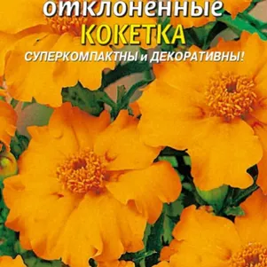 

Бархатцы Кокетка отклоненные 30 шт, Плазменные семена