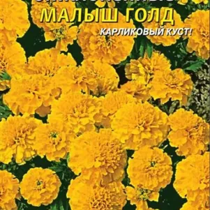 Бархатцы Малыш Голд отклоненные 30 шт, Плазменные семена