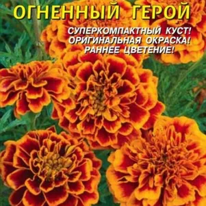 Бархатцы Огненный Герой отклоненные 15 шт, Плазменные семена