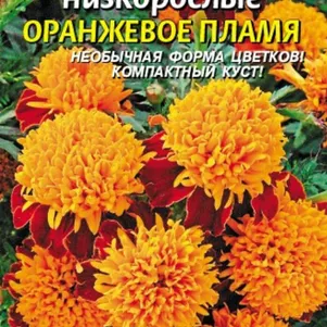 

Бархатцы Оранжевое пламя отклоненные 45 шт, Плазменные семена