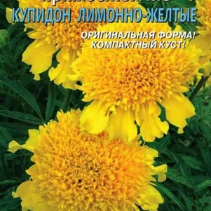 Бархатцы Купидон Лимонно-желтый прямостоячие 20 шт, Плазменные семена