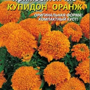Бархатцы Купидон Оранж прямостоячие 20 шт, Плазменные семена
