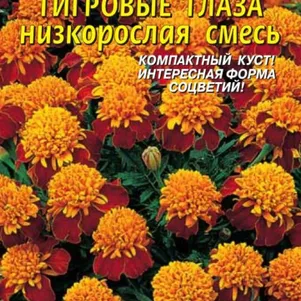 Бархатцы Тигровые глаза низкорослые смесь 45 шт, Плазменные семена