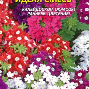 Вербена Идеал смесь 0,1 г, Плазменные семена