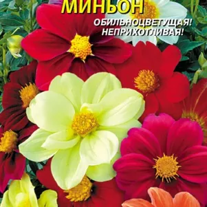 Георгина Миньон 0,15 г, Плазменные семена