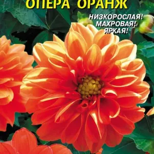 Георгина Опера Оранж 10 шт, Плазменные семена
