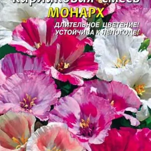Годеция Монарх смесь карликовая 0,1 г, Плазменные семена