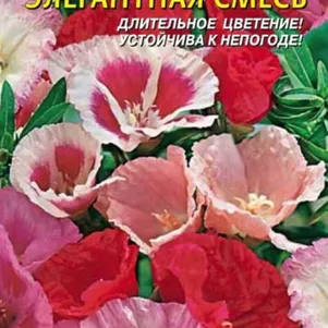 

Годеция Элегантная смесь 0,2 г, Плазменные семена