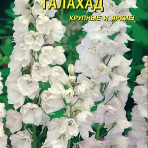 

Дельфиниум Галахад 0,05 гр Плазменные семена