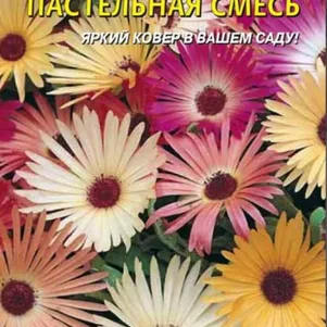 Доротеантус Пастельная смесь 0,1 г, Плазменные семена