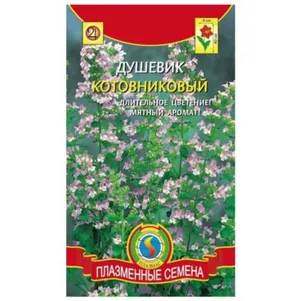 

Душевик котовниковый 0,01 г, Плазменные семена