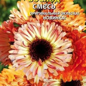 Календула Восход смесь 0,2 г, Плазменные семена